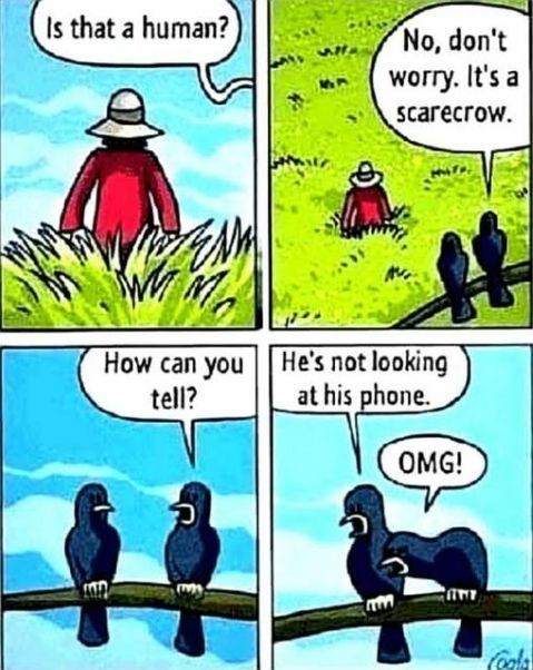 scarecrow no phone.jpg